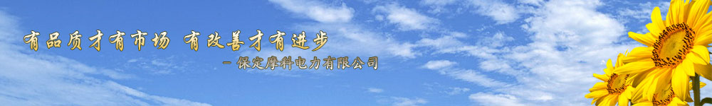 保定摩科电力有限公司